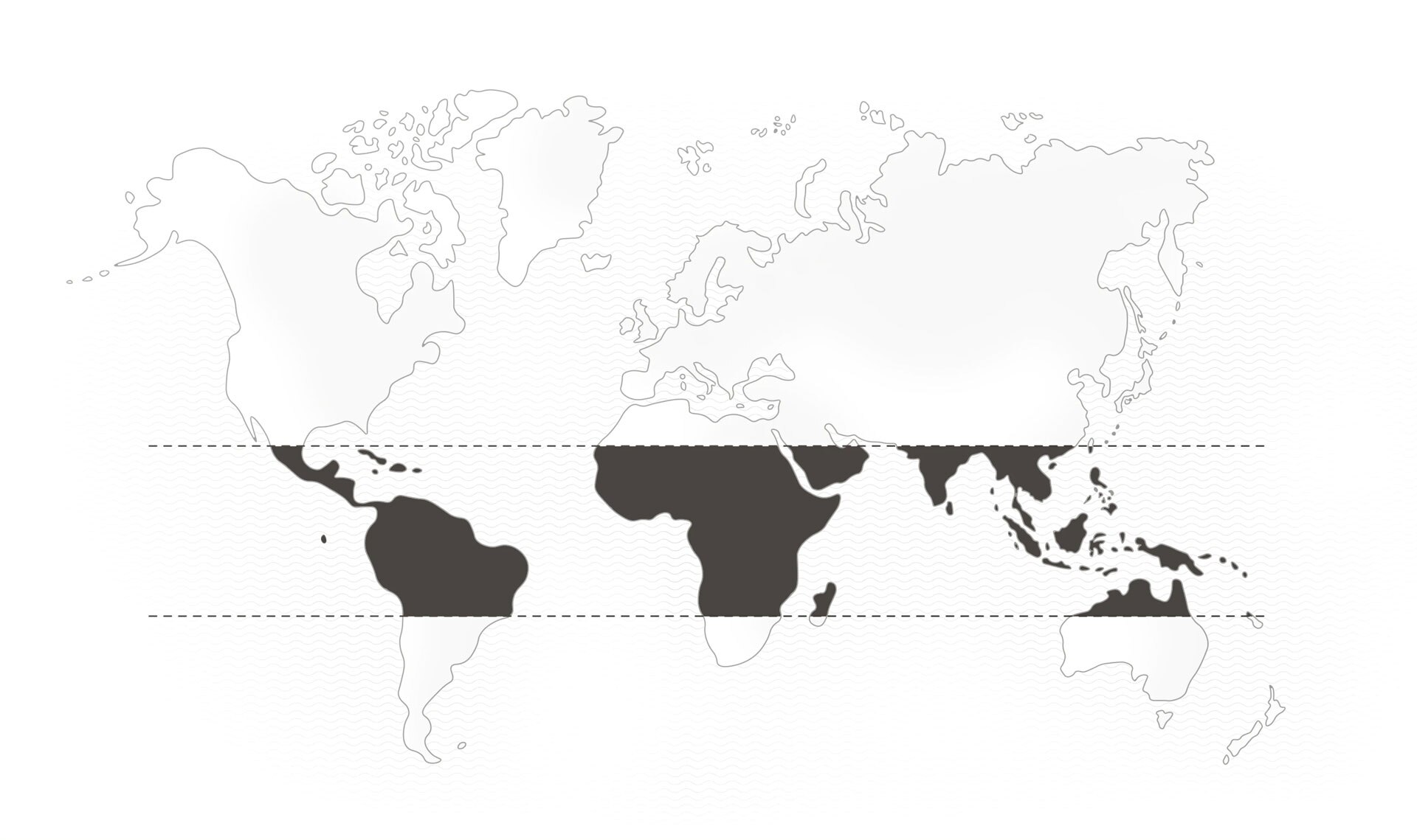 mapa-espresso-intenso_3x-min.jpg